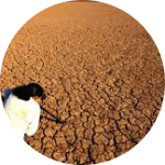 Our Mission
